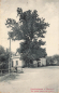 Preview: 01737 Spechtshausen Kurort Hartha Tharandt grosse Linde beim Gasthof * um 1910