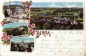 Preview: 07980 Berga Elster Gruss aus ... Litho o 1904