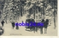Preview: Schlittenpost im Harz o ca.1910
