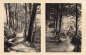Preview: 01816 Bad Berggießhübel bvor und nach der Unwetterkatastrophe 8./9. Juli 1927 Poetenweg
