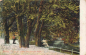 Preview: Tiergarten Berlin am grossen Weg original alte Ansichtskarte o 1905