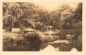 Preview: Cottbus Stadtpark * 1953