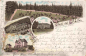 Preview: Greiz Vogtland Gruss aus... Litho o 1900