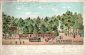 Preview: 47053 Grunewald bei Duisburg Litho Straßenbahn o .1902