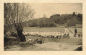Preview: 02627 Kreckwitz sheep herd o 1926