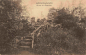 Preview: Sangerhausen Ruine im Rosarium o 1917