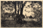 Preview: 01773 Schellerhau Erzgebirge * um 1930