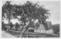 Preview: 01773 Schellerhau Erzgebirge Fremdenheim Schellerhöhe * um 1940