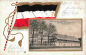 Preview: Schöneck (Vogtland) "Tannenhaus" – embossed patriotic card with gold-gilt edges, postmarked 1916.