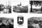 Preview: 01855 Sebnitz in Saxony Multi-image postcard * circa 1950