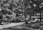 Preview: 01616 Strehla Elbe Pionierpark gebraucht 1972