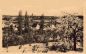Preview: Werder Havel von der Wachtelburg alte Ansichtskarte * 1957