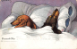 Preview: Dachshund in bed, sensible marriage, artist's card, circa 1906