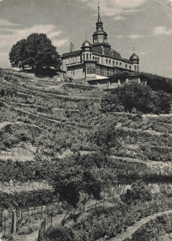 01445 Oberloessnitz Radebeul Spitzhaus * um 1950