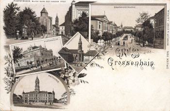 01558 Großenhain Gruss aus Litho * um 1895