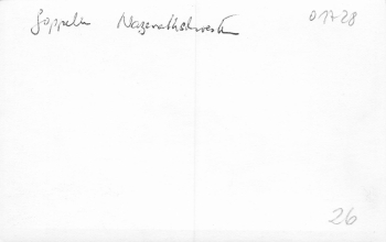 01728 Goppeln Bannewitz Nazarethschwestern Kloster Druckvorlage um 1956