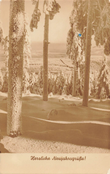 01728 Goppeln-Kauscha Landpoststempel o 1959 auf Neujahrskarte