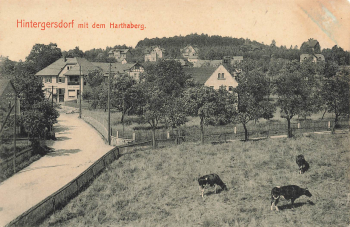 01737 Hintergersdorf Kurort Hartha Tharandt with Harthaberg used 1918
