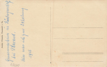 01737 Hintergersdorf Kurort Hartha Tharandt Genesungsheim mit Kuhweide * 1916