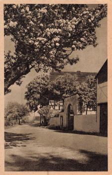 01773 Falkenhain Erzgebirge * um 1950