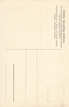 01796 Pirna Elbe Frohngasse * um 1930 Heimatschutzpostkarte