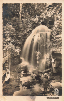01848 Hohnstein Amselfall Hahn-Foto2905 o 1925