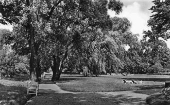 04924 Bad Liebenwerda Park des Moorbades o 1965