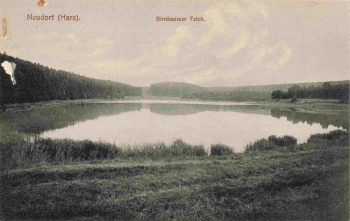 06493 Neudorf Harz Harzgerode Birnbaumerteich * 1915