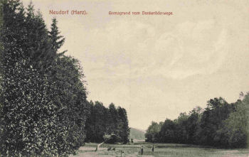 06493 Neudorf Harz Harzgerode Grenzgrund vom Dankeröderwege * um 1910
