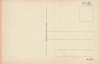 06556 Artern Mehrbildkarte * um 1920