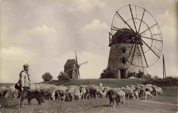 06648 Eckartsberga (Saale) Windmills – c. 1958