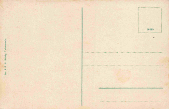 07924 Ziegenrück Rathaus * um 1910