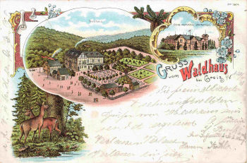 07987 Mohlsdorf-Teichwolframsdorf Gruss vom... Waldhaus Litho o 1898