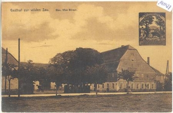 04703 Leising Gasthof zur wilden Sau * ca. 1910