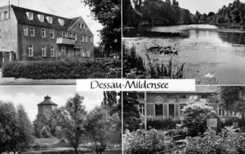 06810 Dessau Mildensee * ca. 1978