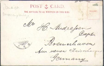 Bananenplantage Kingston W. I. Jamaica  o ca. 1900