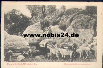 Epako water point near Omaruru with goats *approx. 1900