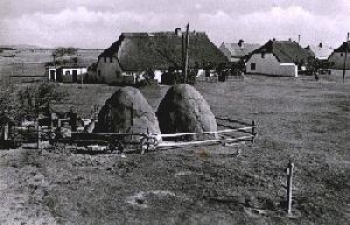 18565 Insel Hiddensee, Neuendorf, Bauern- und Fischerhäuser, * ca. 1960