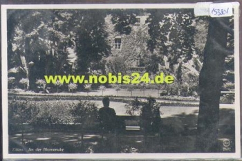 Zittau, An der Blumenuhr *ca. 1950