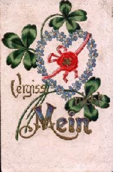 Forget-me-not with shamrocks embossed card o 4.1.1905