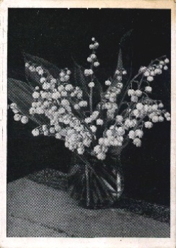 Lily of the valley flowers used circa 1940
