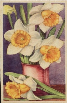 Daffodils in a Red Vase Flowers Art card * ca. 1920