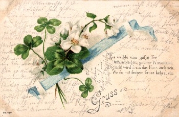Cherry branch with flowers and clover o July 9, 1900