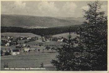 09548 Oberseiffenbach vom Ahornberg o 25.1.1934