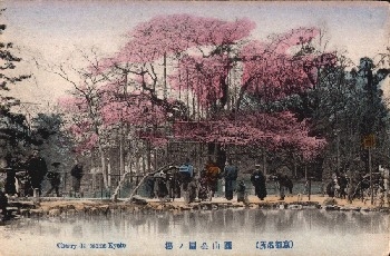 Kyoto Cherry Blessoms * 13.9.1924