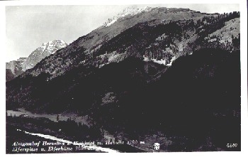 Pinnistal mit Habicht, Almgasthof Herzeben, * ca. 1950