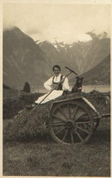 Agriculture, woman with a dog on a wagon, real photo, * around 1920