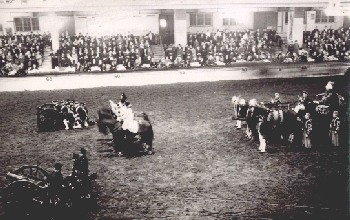 Parade with historical uniforms, military, cannon, horses, real photo * ca.1950