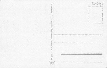 01773 Wald Bärenburg Altenberg Riedelmühle * um 1930