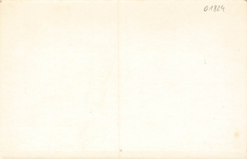 01824 Papstdorf Pension Immenheim Sächsische Schweiz * um 1950